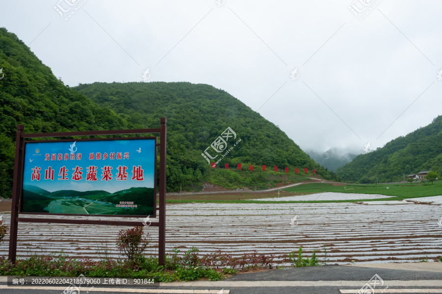 竹贤乡石院村高山生态蔬菜基地