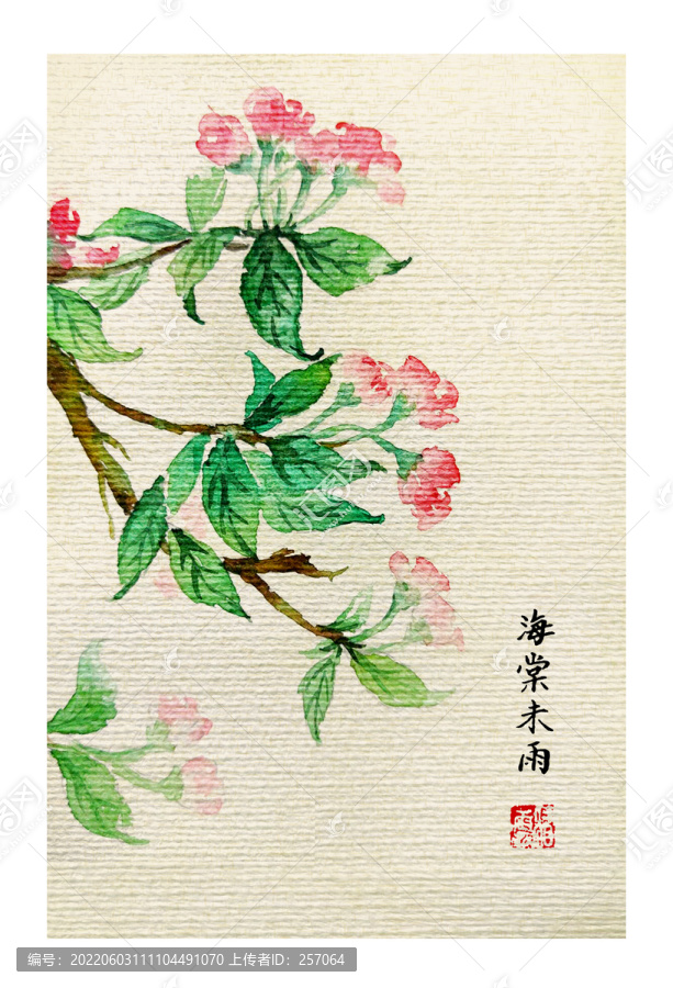 海棠花