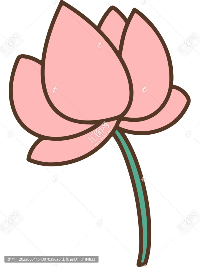端午節(jié)荷花