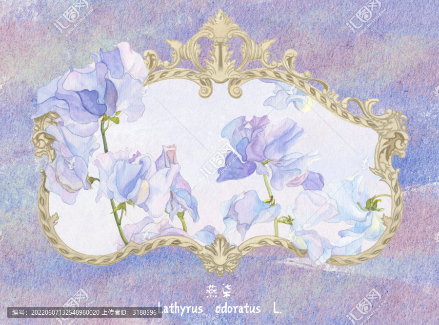 水彩香豌豆花