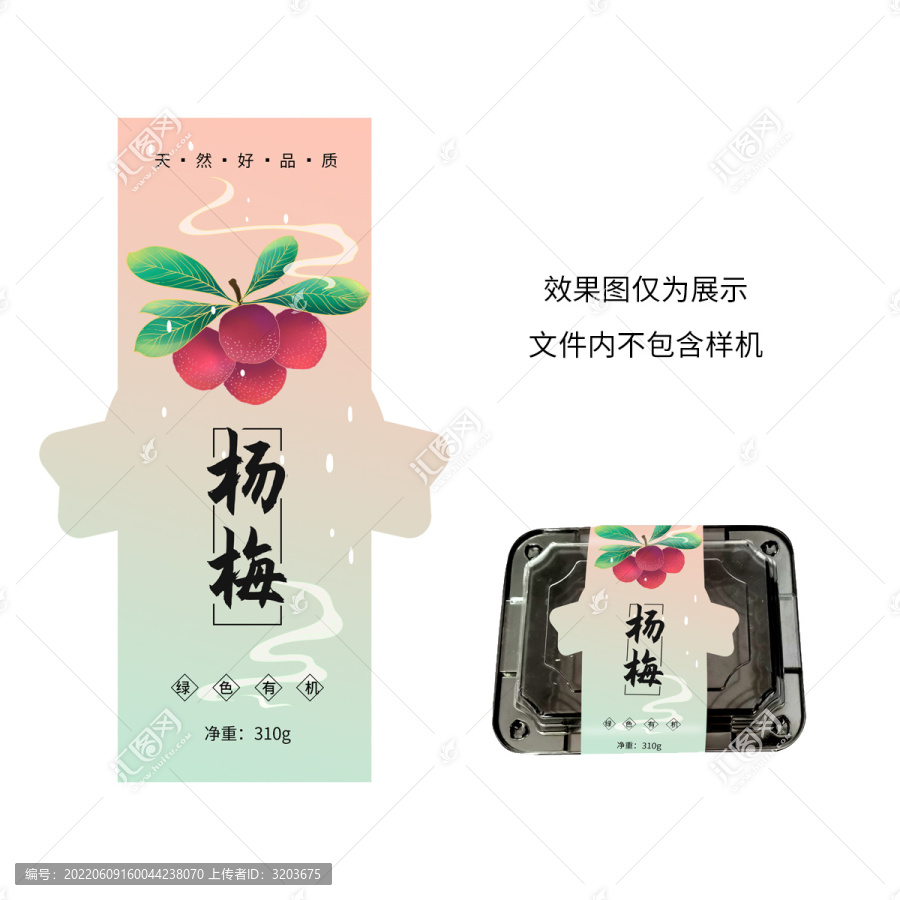 楊梅水果包裝盒標簽包裝插畫