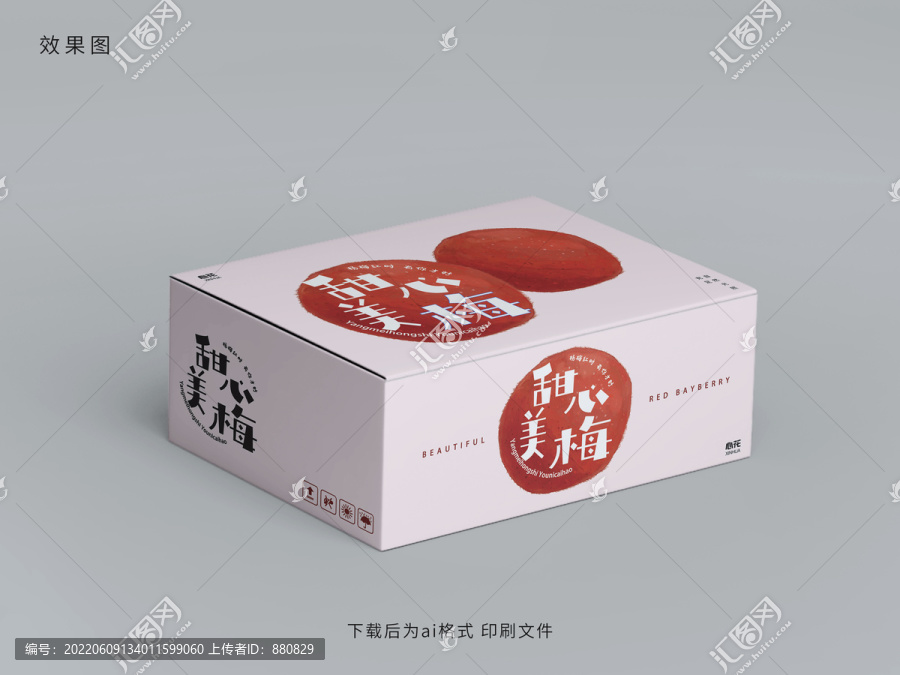仙居楊梅包裝設(shè)計
