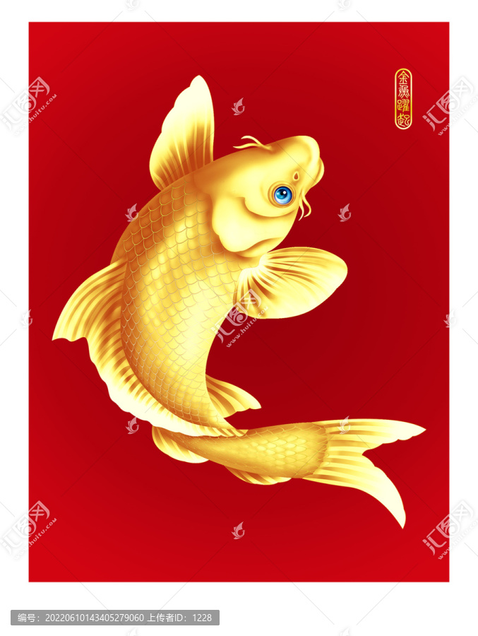金魚素材