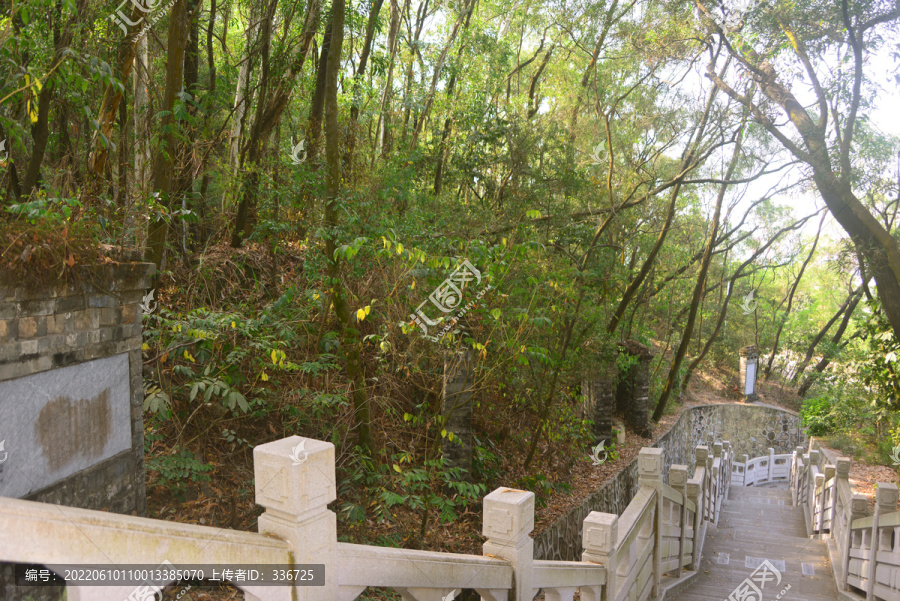 深圳赤湾左炮台步行石梯