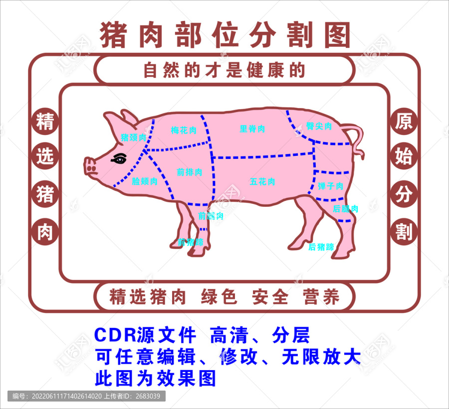豬肉部位分割圖