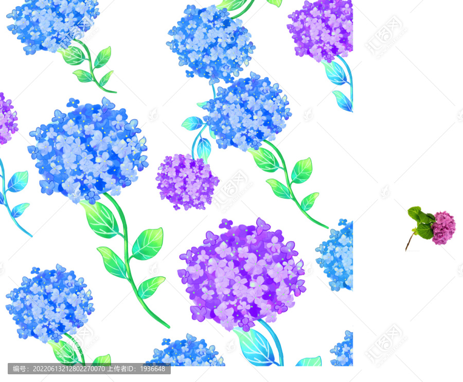 繡球花