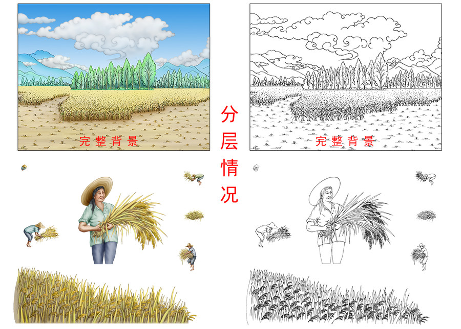 水稻豐收
