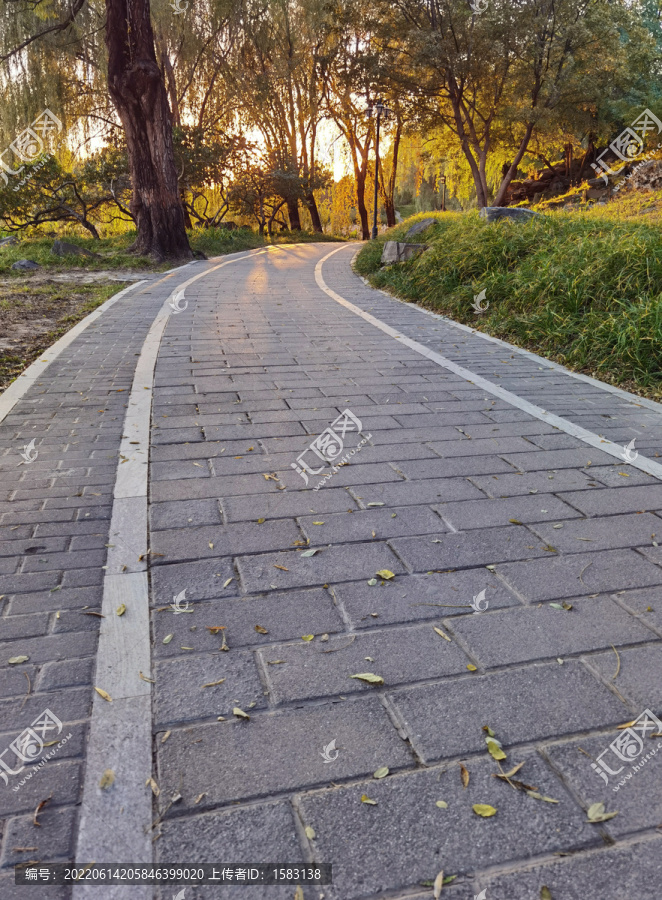 小路