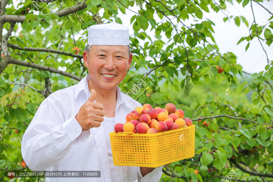 一篮小红杏