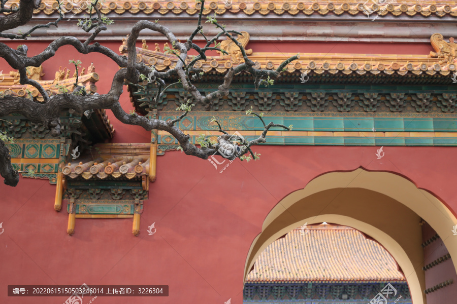 北京太庙红墙绿瓦枝桠
