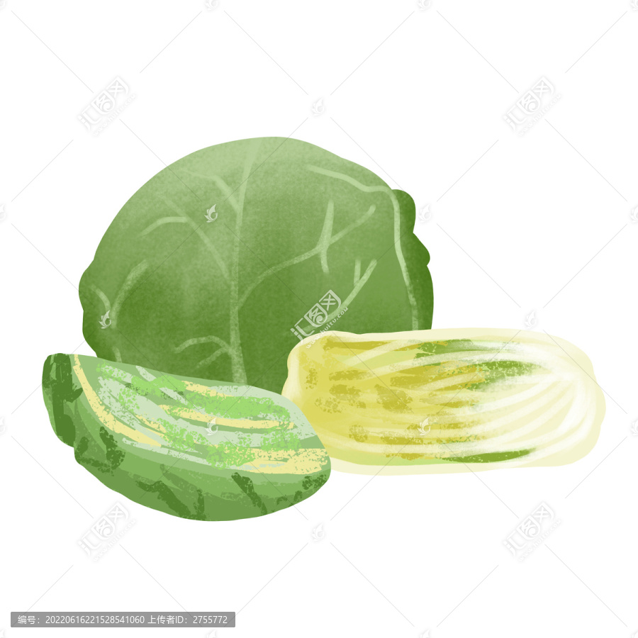 手繪包菜娃娃菜