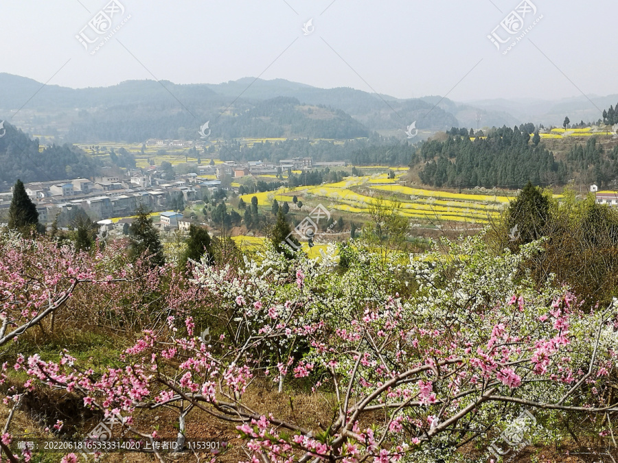 春花烂漫