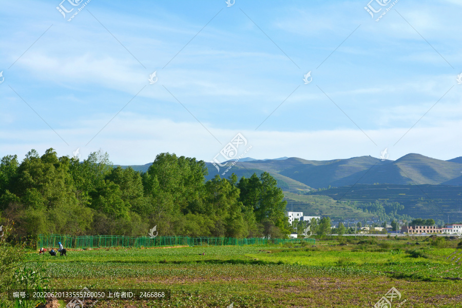 乡村风光