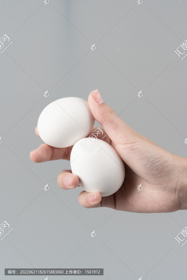 禽蛋鸡蛋