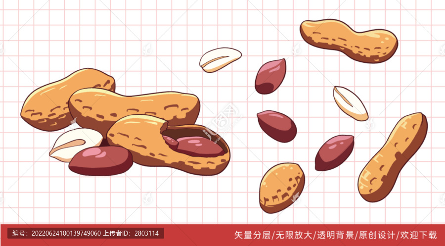 卡通矢量花生