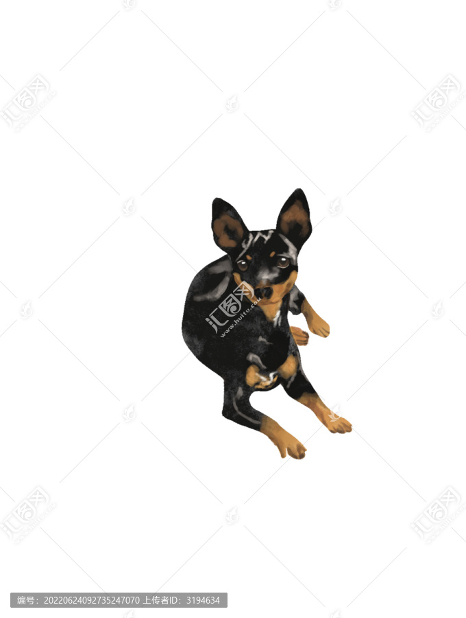 狗