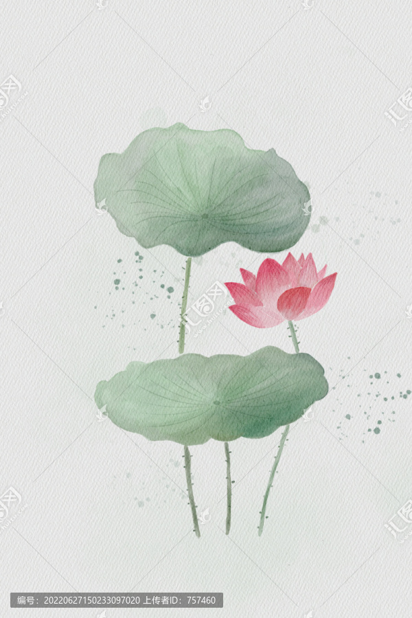 國風(fēng)荷花