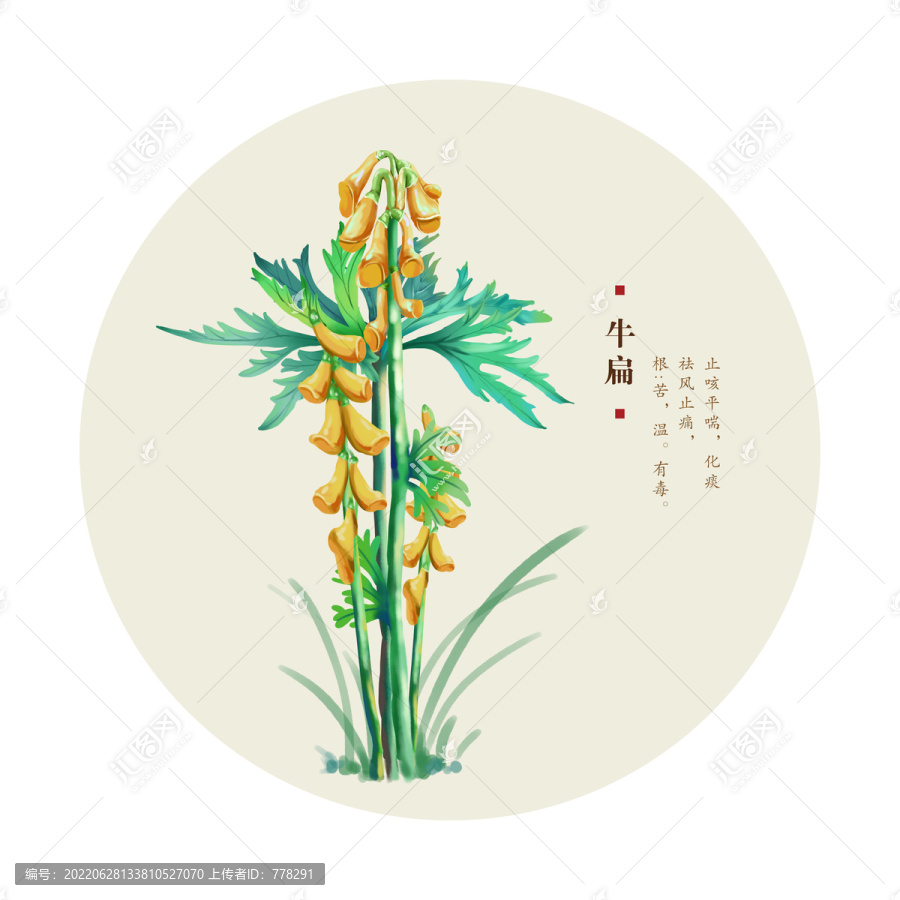 牛扁