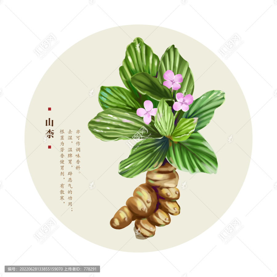 山柰