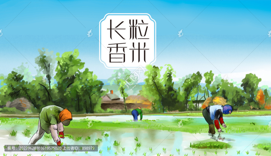 原創(chuàng)水稻場景插畫