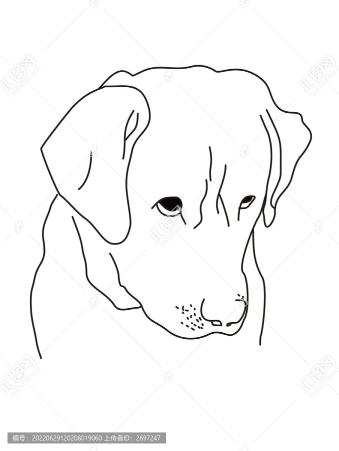 狗狗線稿