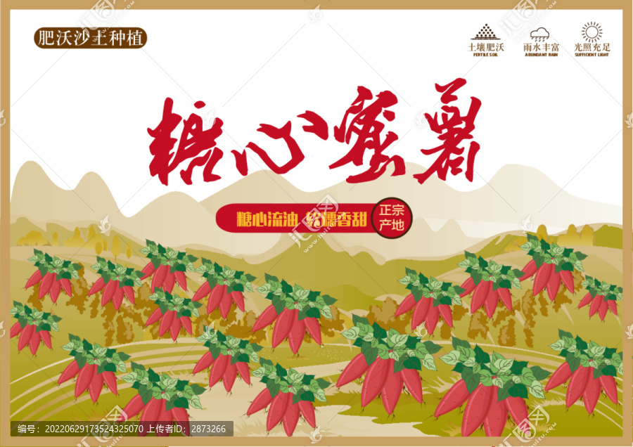 紅薯包裝插畫