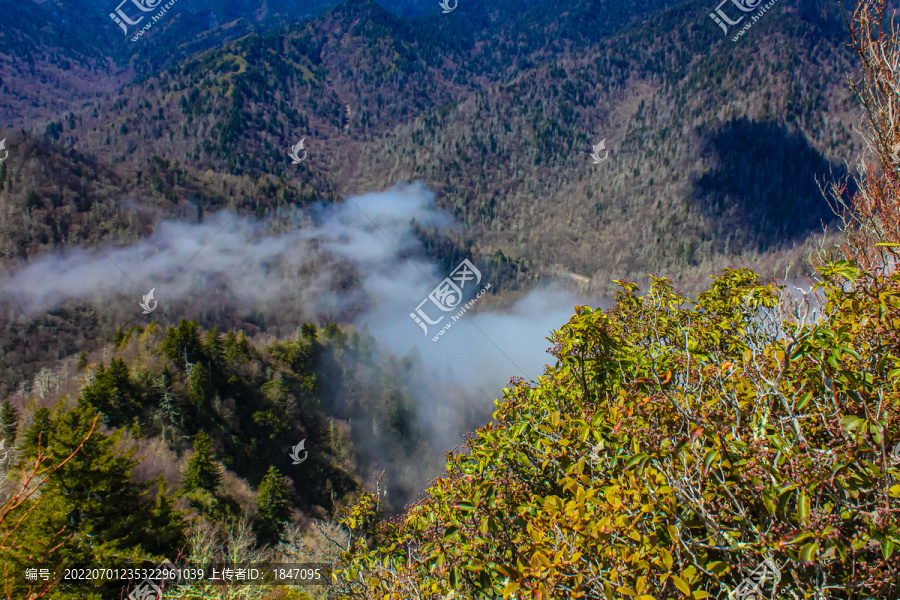 大雾山