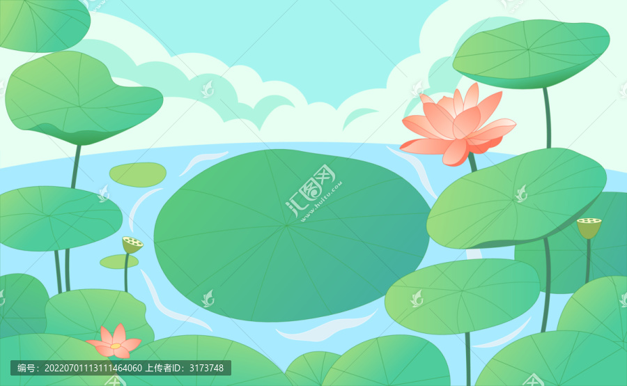 夏日池塘荷花盛開