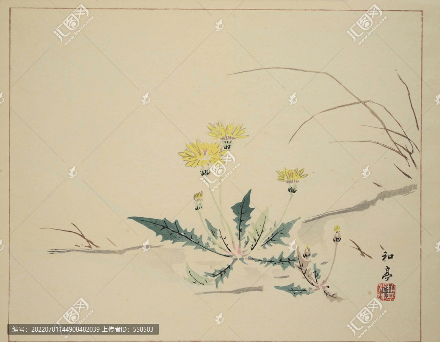 蒲公英圖花卉裝飾畫