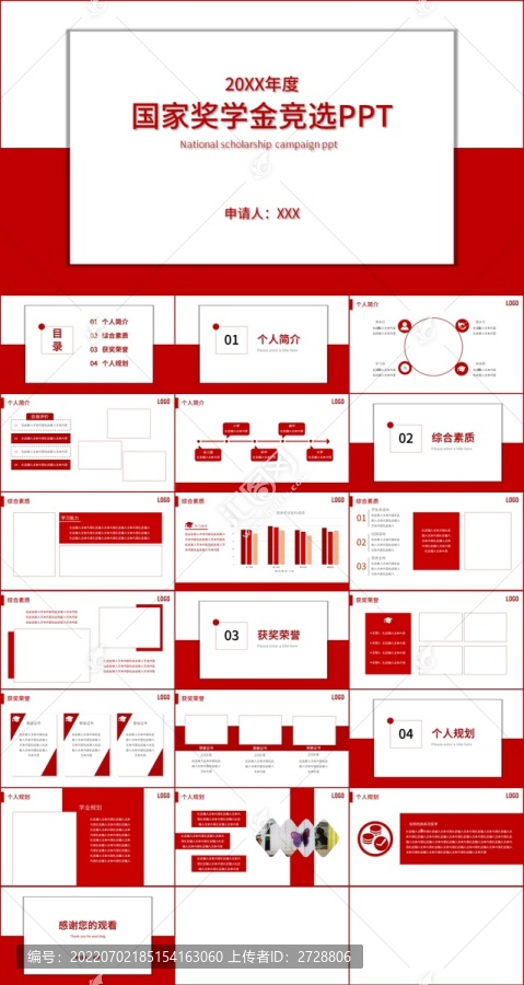 红色简约奖学金竞选PPT模板