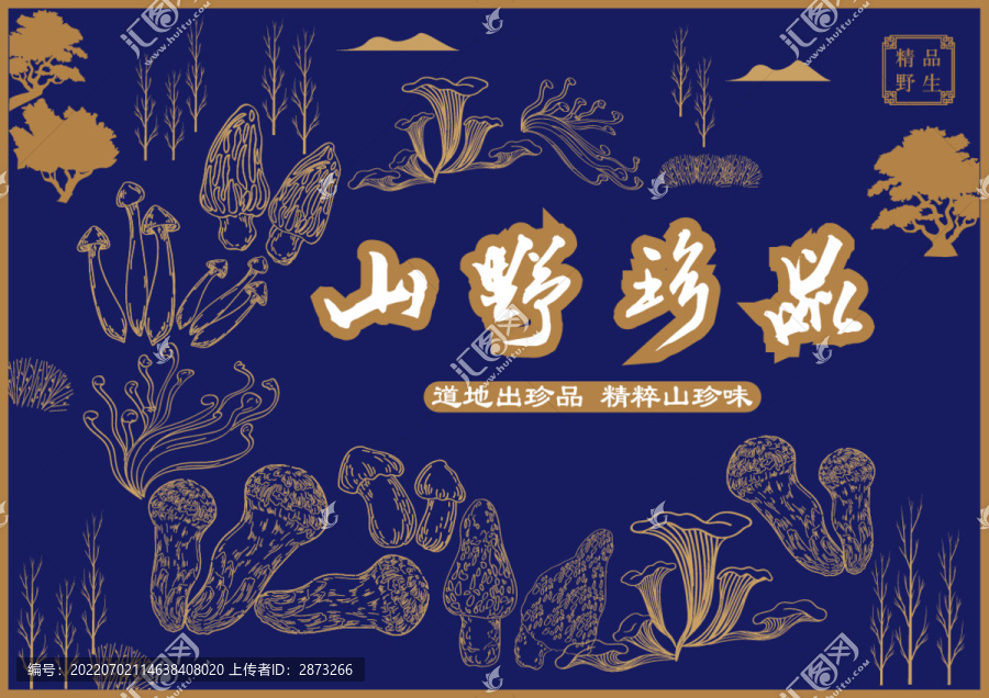 菌菇山珍蘑菇松茸竹蓀包裝插畫