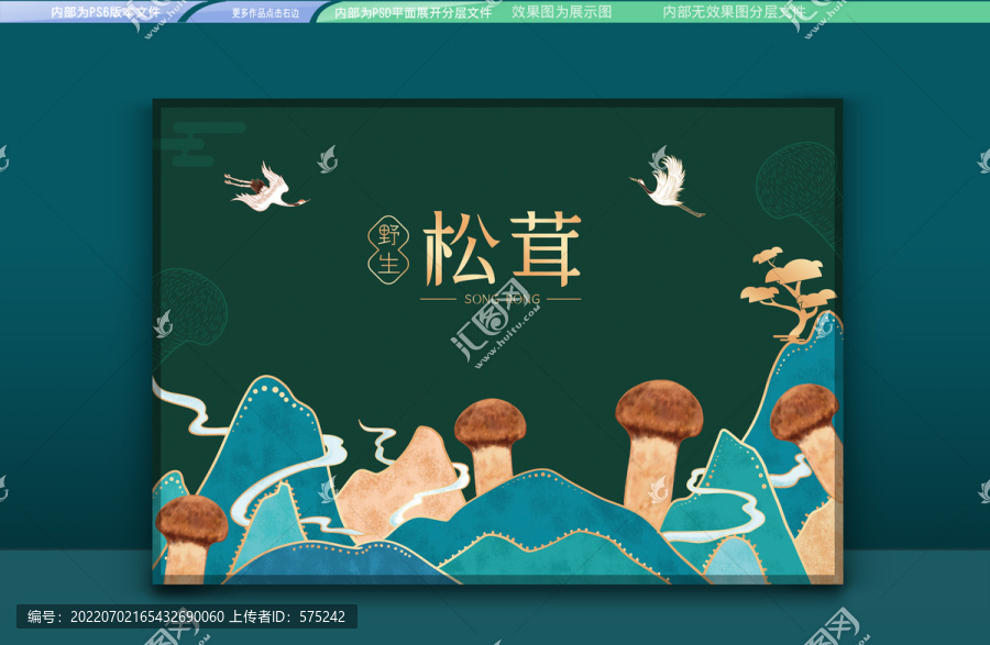 松茸禮盒