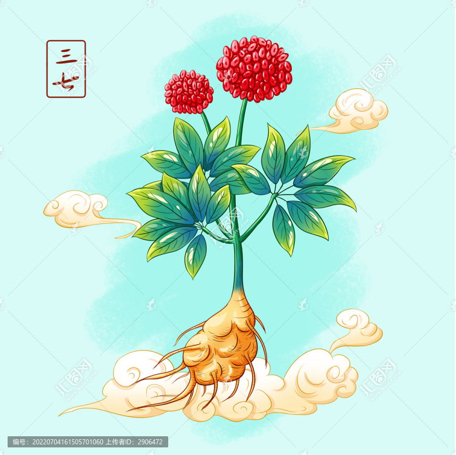 三七插畫(huà)手繪