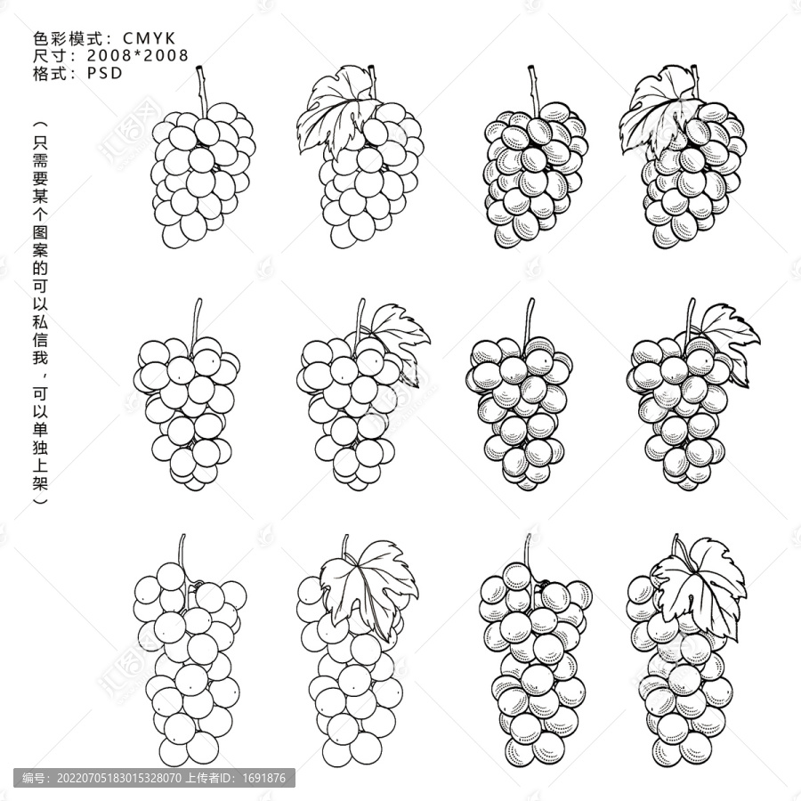 葡萄插畫