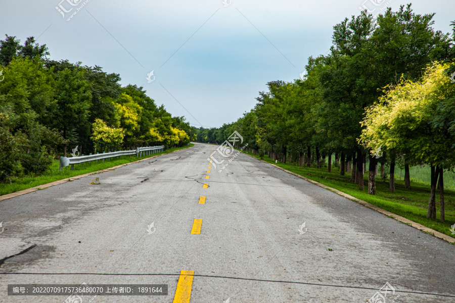 公路乡村路