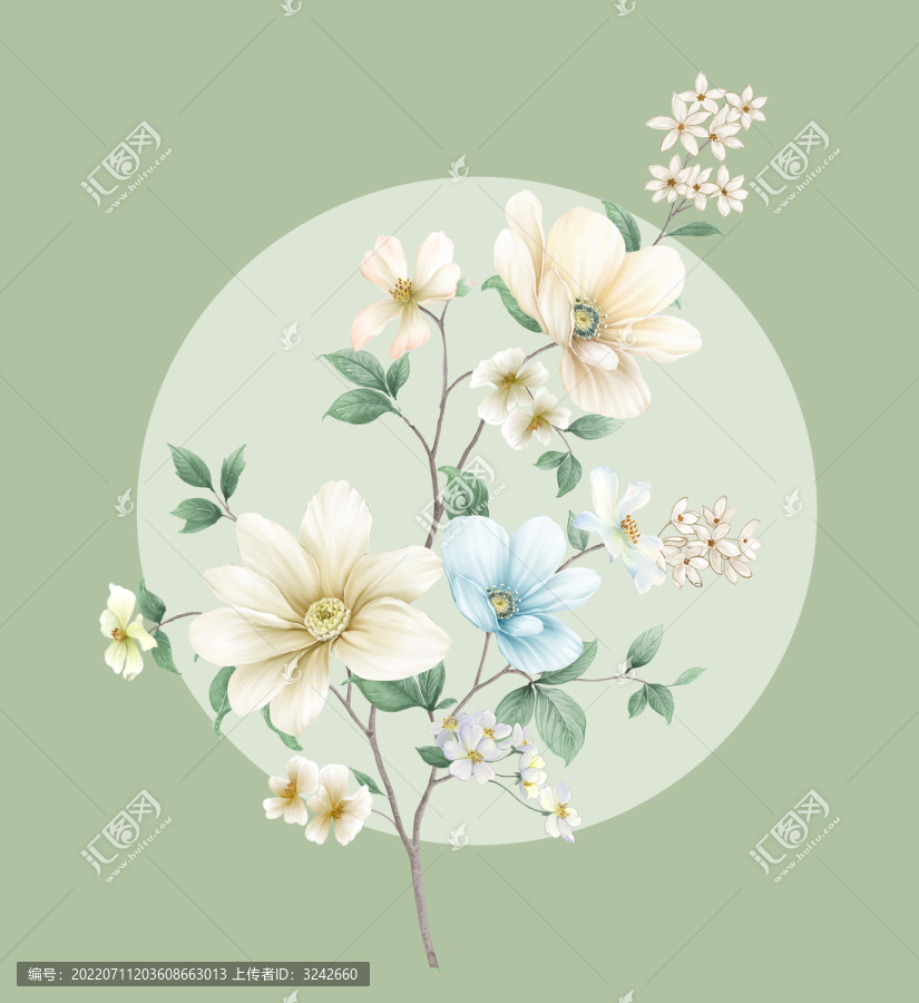 牡丹花