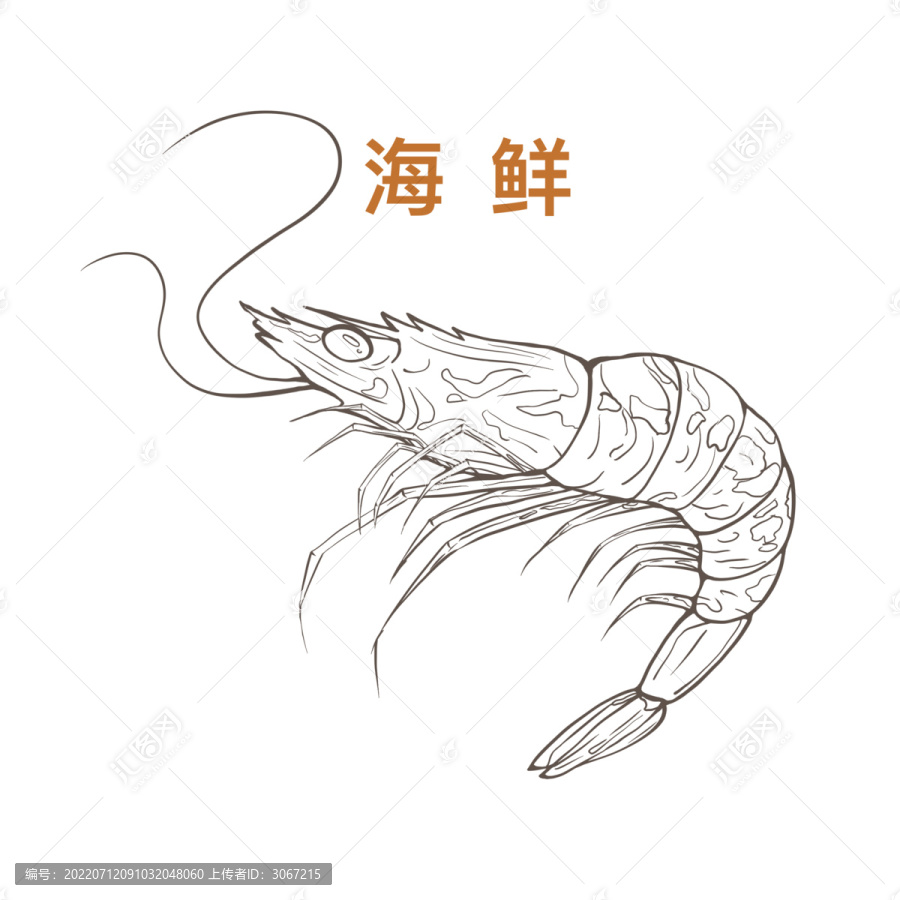 蝦海鮮干貨食材火鍋手繪線稿