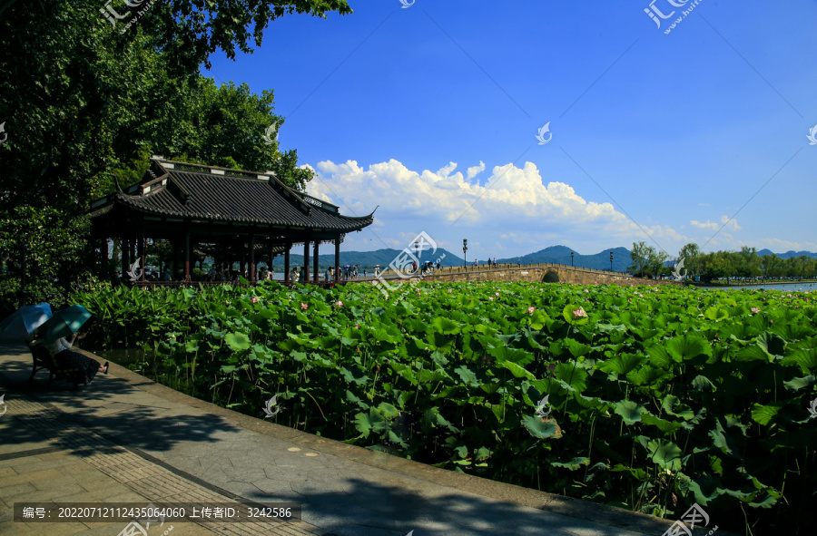 西湖风景