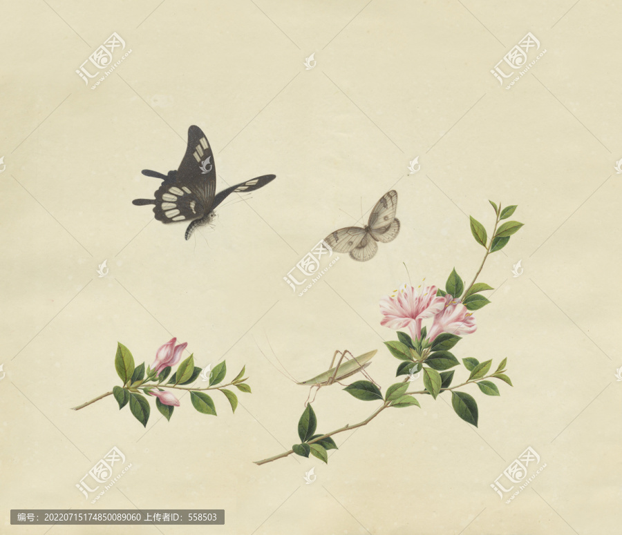 杜鵑花水彩花卉國畫裝飾畫