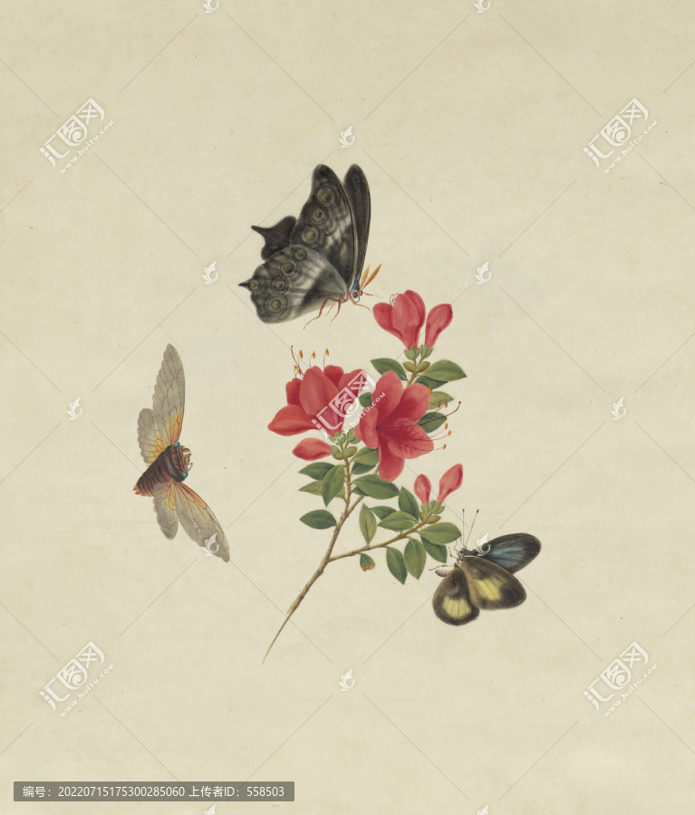 紅杜鵑花水彩花卉國(guó)畫裝飾畫