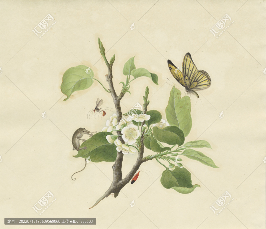 茉莉花水彩花卉國畫裝飾畫
