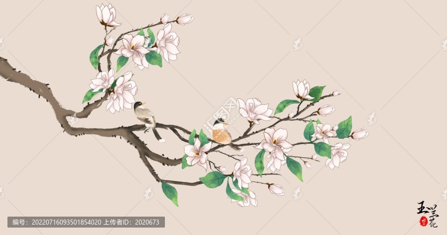 玉蘭花工筆花鳥