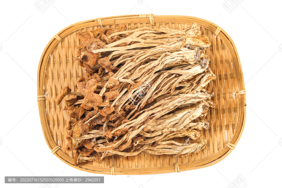 茶樹菇白底圖