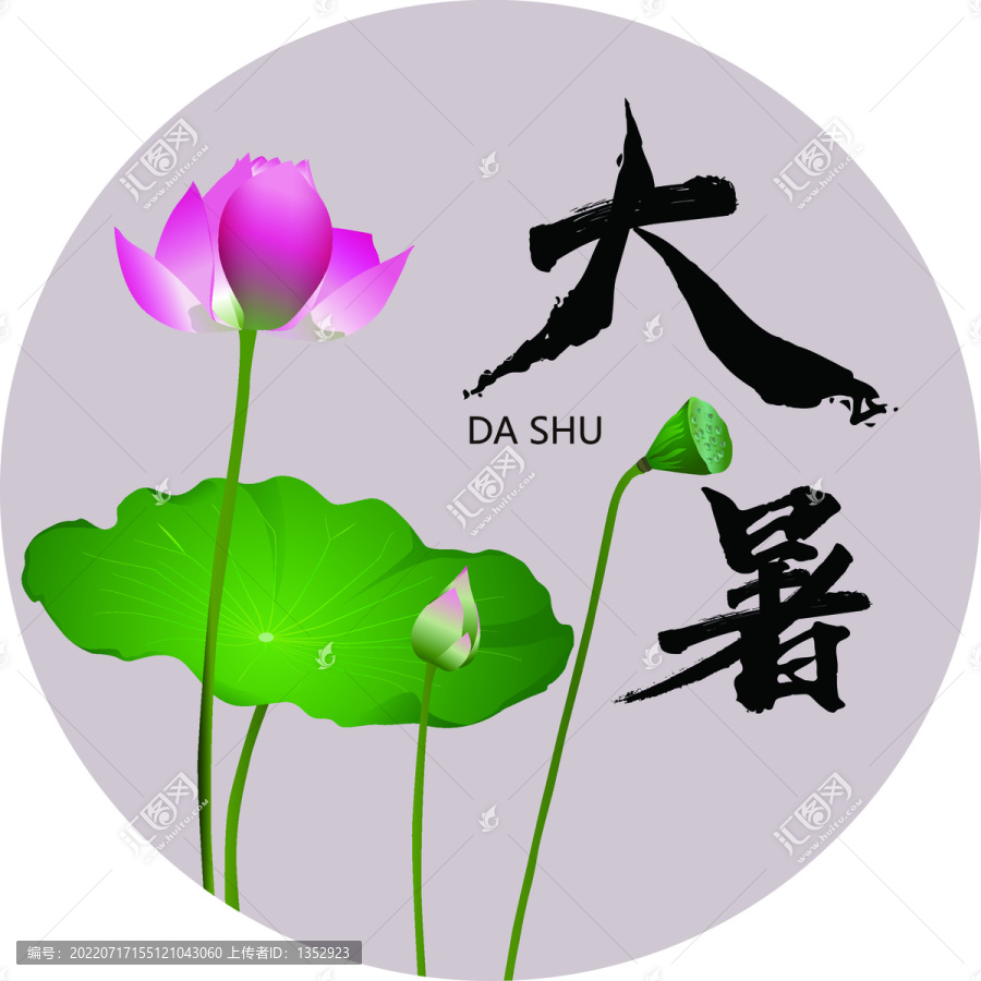 荷花