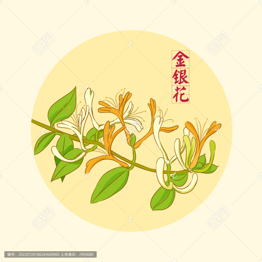 金銀花