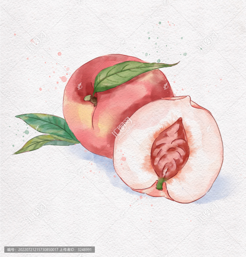 水蜜桃插畫(huà)