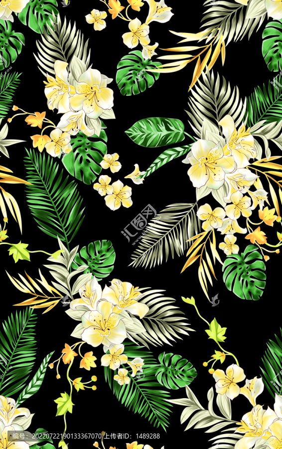 黑底植物黃花朵