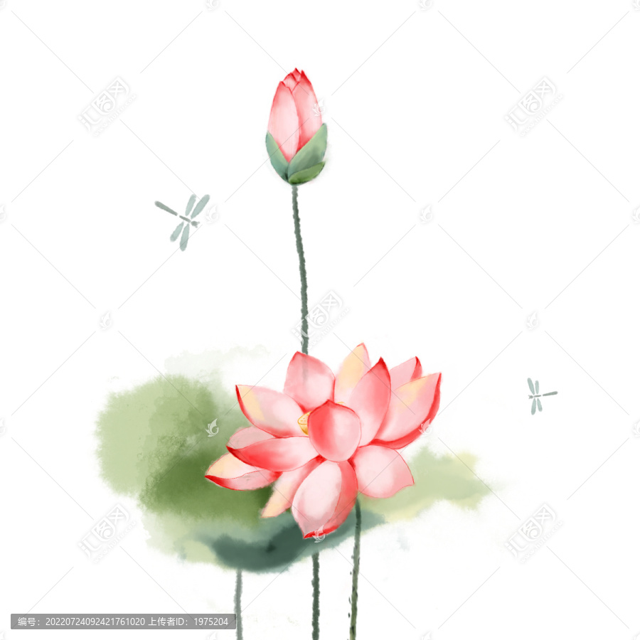 中國(guó)風(fēng)荷花