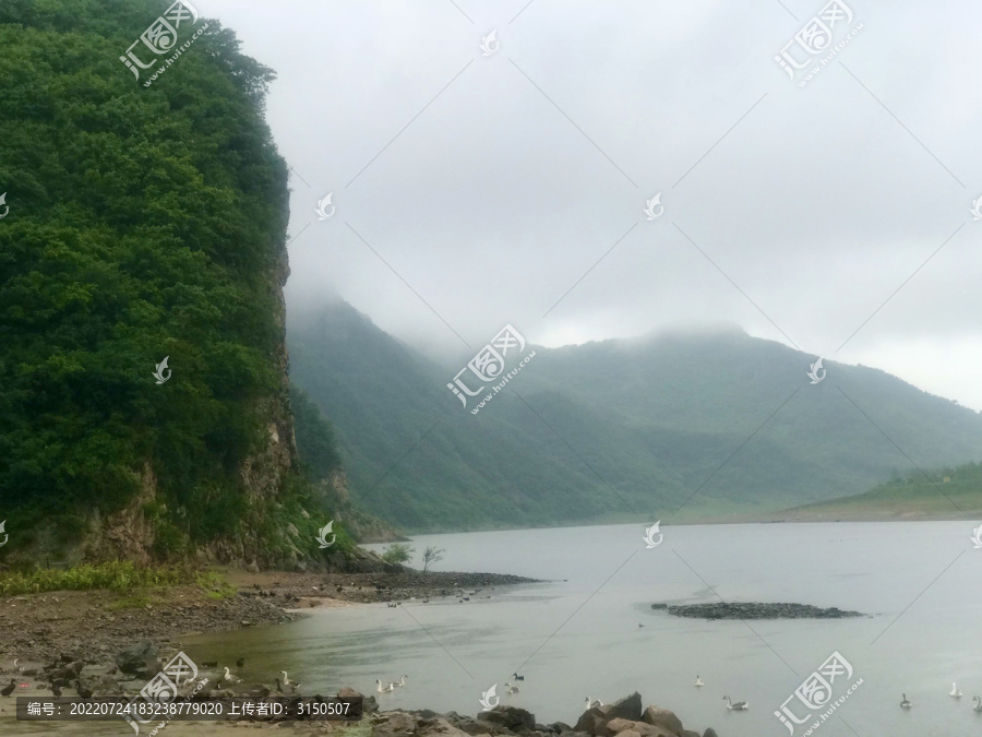 天地苍茫数只鸭