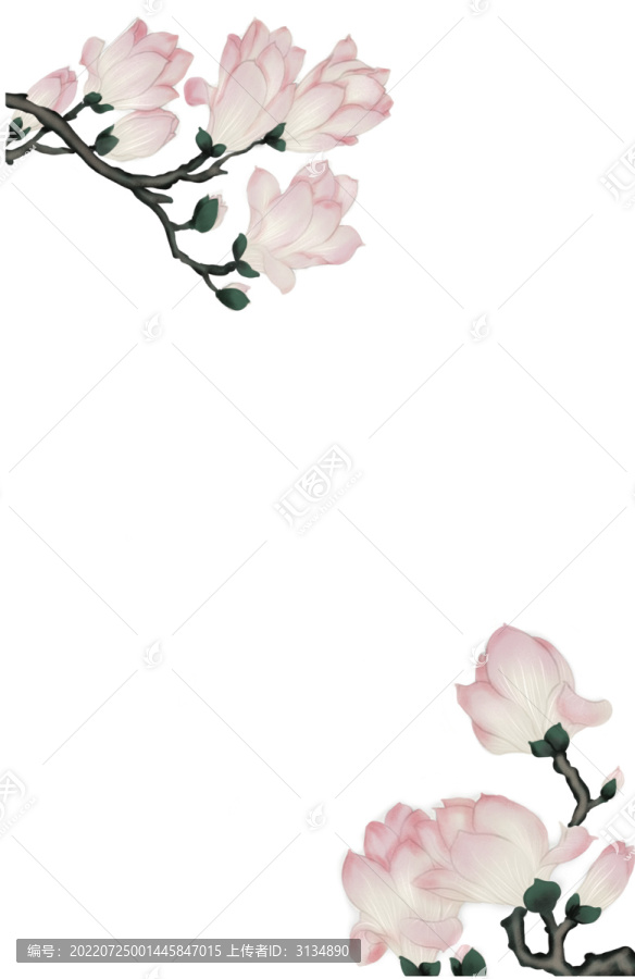 玉蘭花